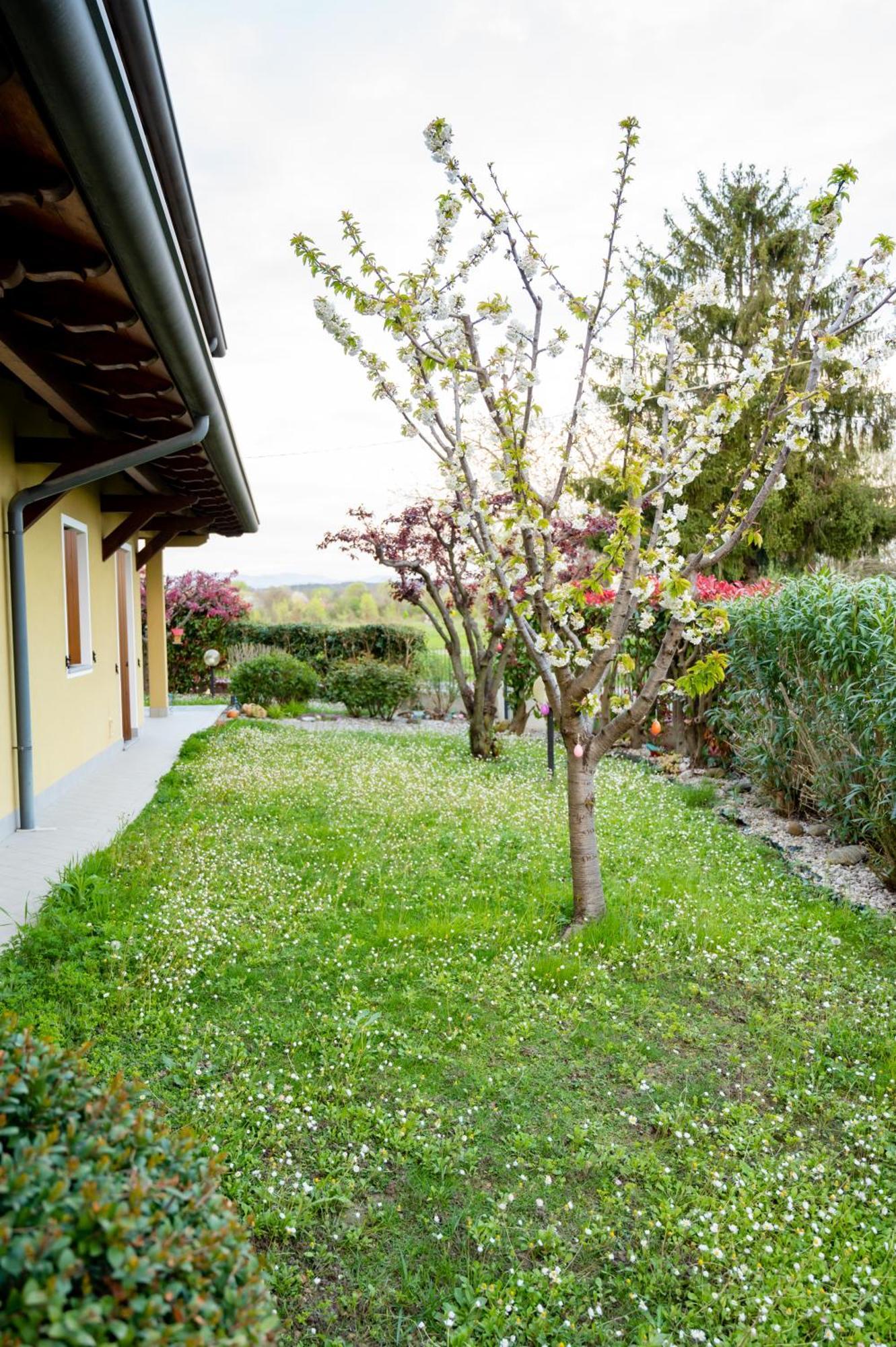 Residence Stradella Verde Staranzano Exteriör bild